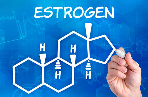 Estrogen