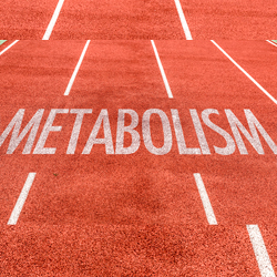 Metabolism Boost