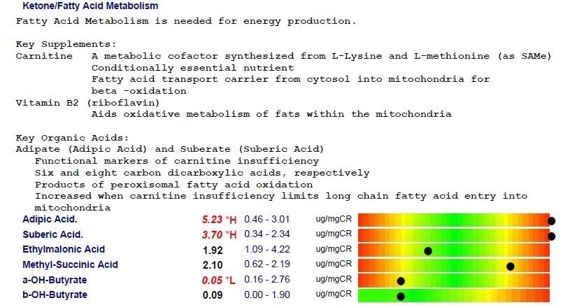 Body fat burning problems Carnitine deficiency
