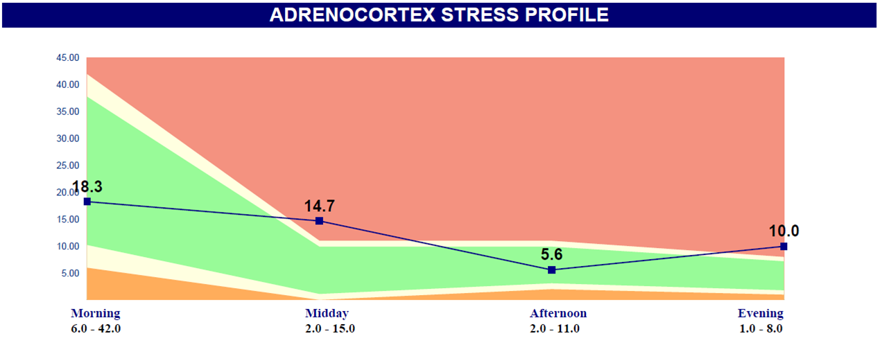 Distorted adrenocortex stress profile Up & Down Cortisol Rhythm